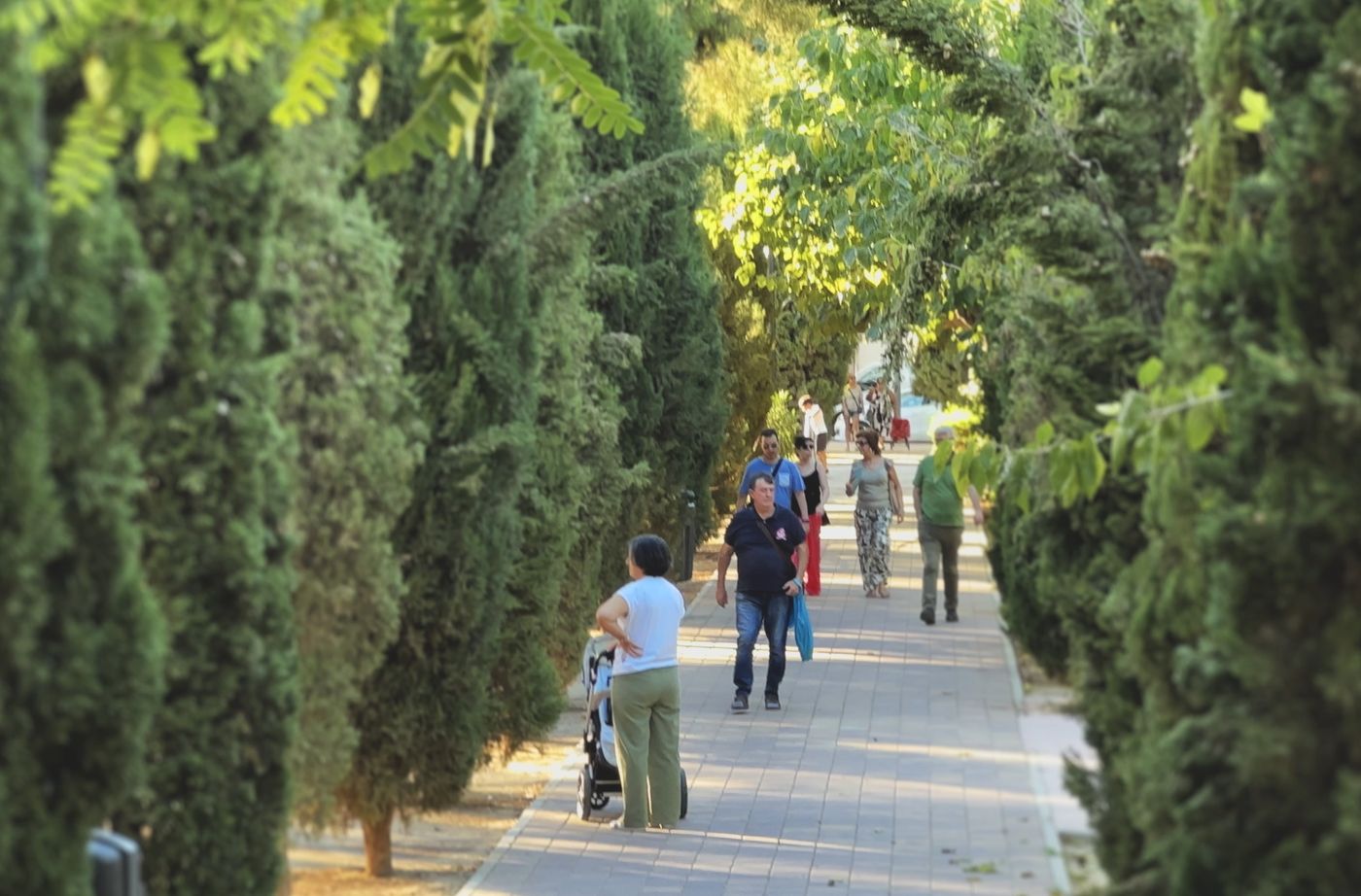 Vecinos paseando por una avenida arbolada