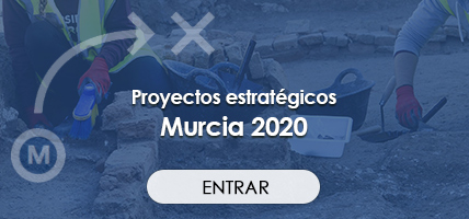 Imagen proyectos estrategicos banner